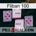 Fliban 100 33